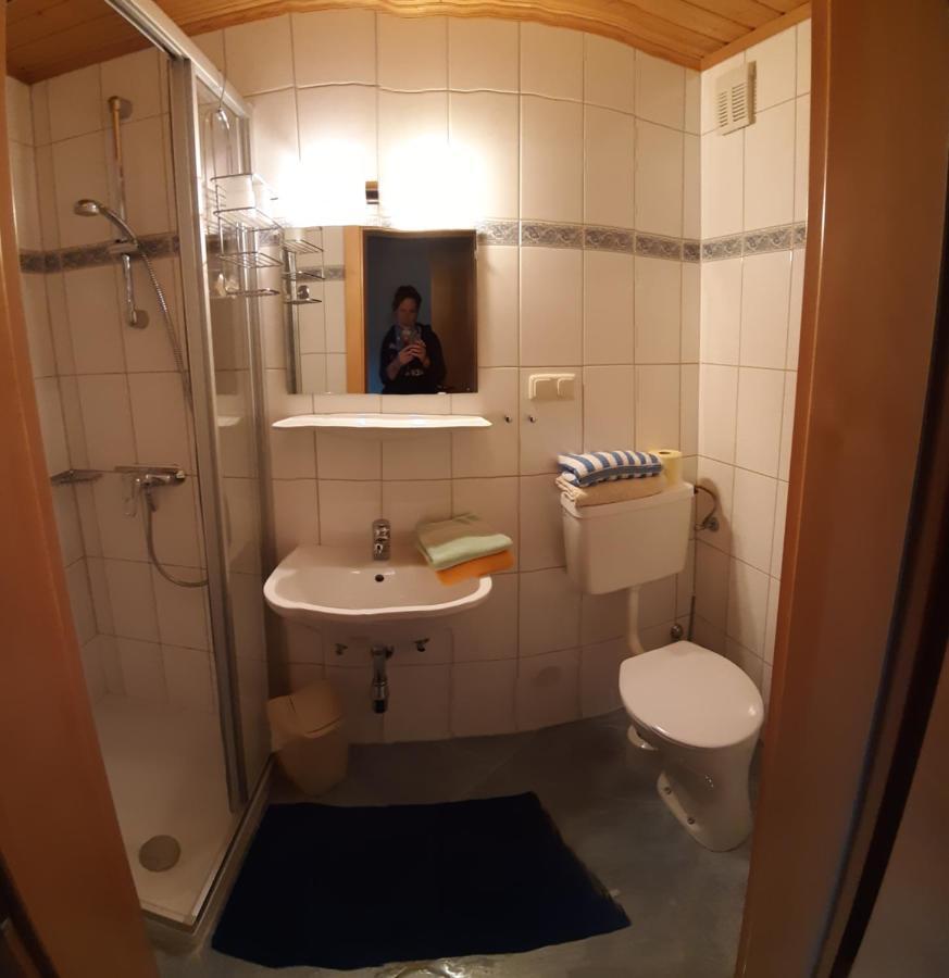Ferienwohnung Schoenauer Haus im Ennstal Extérieur photo